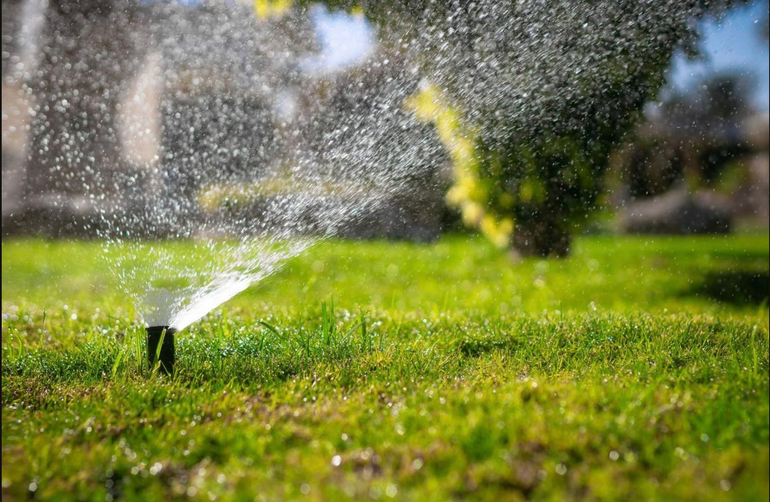 Automated Irrigation